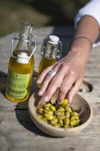 degustation vins olives Montpellier