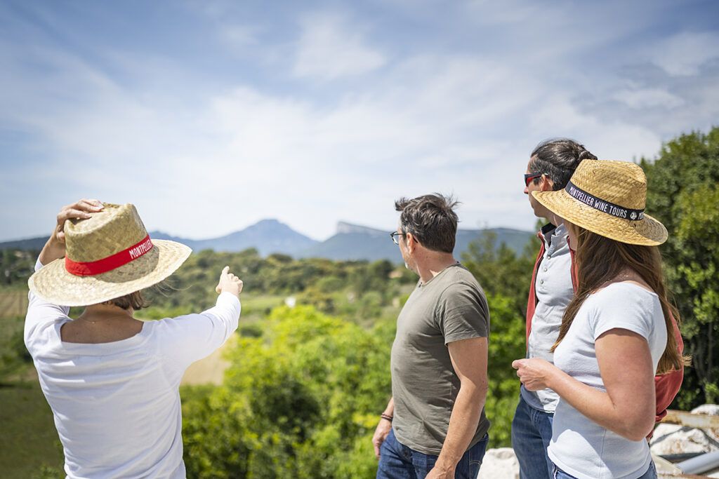 Pic-Saint-Loup wine tour