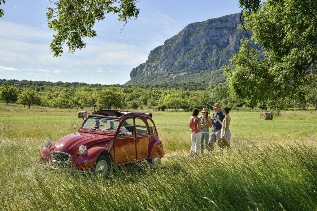 Excursion 2CV Vignobles